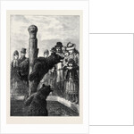 Receiving Visitors on Easter Monday at the Zoological Society's Gardens London 1873 by Anonymous