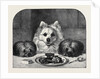 Great Expectations by Anonymous