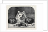 Great Expectations by Anonymous
