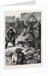 A London Dust Yard 1873 by Anonymous