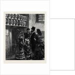 Newgate: The Collection of Casts 1873 by Anonymous