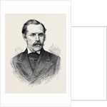 Movers of the Address in Both Houses of Parliament: The Earl of Clarendon 1873 by Anonymous