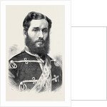 Movers of the Address in Both Houses of Parliament: The Hon. C.G. Lyttelton 1873 by Anonymous