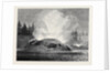 The Grotto Geyser Montana North America 1873 by Anonymous