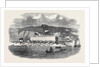 Launch of Pontoon for the Great Eastern Steamship at Neyland Milford Haven by Anonymous