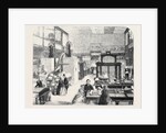 The Educational Collections in the South Kensington Museum by Anonymous