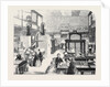 The Educational Collections in the South Kensington Museum by Anonymous