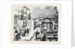 The Educational Collections in the South Kensington Museum by Anonymous