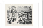 The Educational Collections in the South Kensington Museum by Anonymous