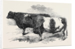 Meeting of the Royal Agricultural Society at Salisbury: No. 251 by Anonymous