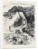 Mode of Travelling in Nepaul. by Anonymous