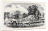 Commencement of the Oswestry and Newtown Railway by Anonymous