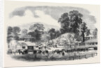 Commencement of the Oswestry and Newtown Railway by Anonymous