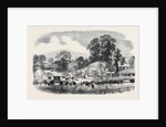 Commencement of the Oswestry and Newtown Railway by Anonymous