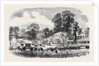 Commencement of the Oswestry and Newtown Railway by Anonymous