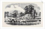 Commencement of the Oswestry and Newtown Railway by Anonymous