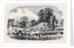 Commencement of the Oswestry and Newtown Railway by Anonymous