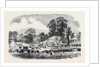 Commencement of the Oswestry and Newtown Railway by Anonymous
