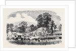 Commencement of the Oswestry and Newtown Railway by Anonymous