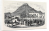 Sale of Angora Rams at Graaff Renet. by Anonymous