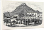 Sale of Angora Rams at Graaff Renet. by Anonymous