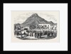 Sale of Angora Rams at Graaff Renet. by Anonymous