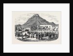 Sale of Angora Rams at Graaff Renet. by Anonymous