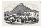 Sale of Angora Rams at Graaff Renet. by Anonymous