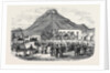 Sale of Angora Rams at Graaff Renet. by Anonymous