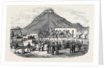 Sale of Angora Rams at Graaff Renet. by Anonymous