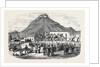 Sale of Angora Rams at Graaff Renet. by Anonymous
