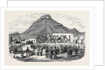 Sale of Angora Rams at Graaff Renet. by Anonymous