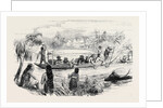 Manilla: A Banca Party by Anonymous