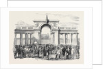 Distribution of the St. Helena Medal to the Old Soldiers of the Empire at Paris by Anonymous