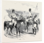 The Mutiny in India: Irregular Cavalry of the Bengal Army by Anonymous