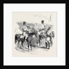 The Mutiny in India: Irregular Cavalry of the Bengal Army by Anonymous