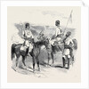 The Mutiny in India: Irregular Cavalry of the Bengal Army by Anonymous