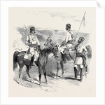 The Mutiny in India: Irregular Cavalry of the Bengal Army by Anonymous