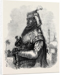 The Mutiny in India: Nana Sahib by Anonymous