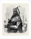 The Mutiny in India: Nana Sahib by Anonymous