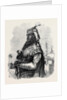 The Mutiny in India: Nana Sahib by Anonymous
