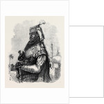 The Mutiny in India: Nana Sahib by Anonymous