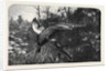 Pheasant Shooting by Anonymous