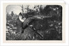 Pheasant Shooting by Anonymous