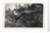 Pheasant Shooting by Anonymous
