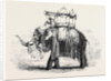 Elephant with State Howdah at Baroda by Anonymous