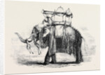 Elephant with State Howdah at Baroda by Anonymous