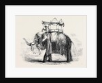 Elephant with State Howdah at Baroda by Anonymous
