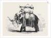 Elephant with State Howdah at Baroda by Anonymous