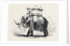 Elephant with State Howdah at Baroda by Anonymous